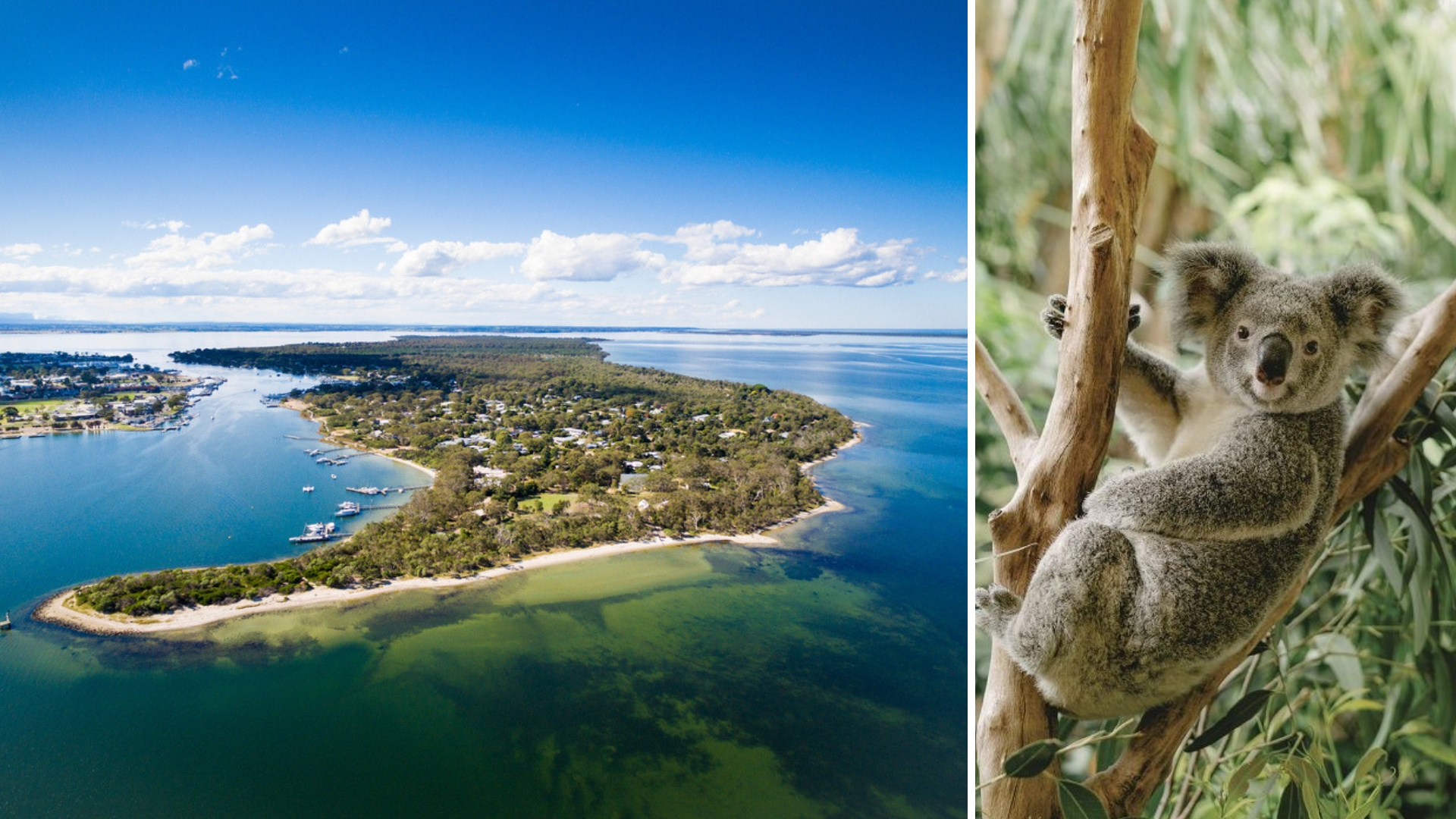 Raymond Island