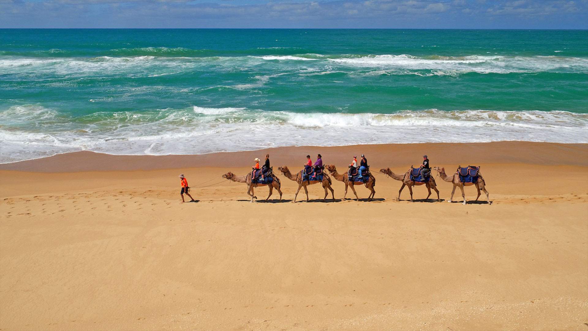 90 Mile Beach camel ride