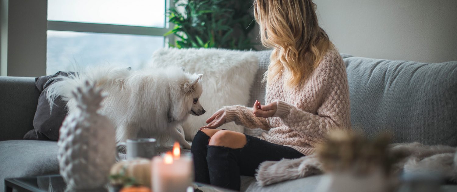 Pets
