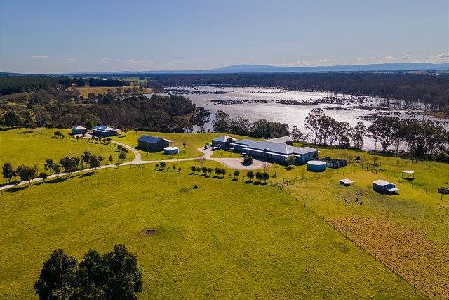 The AUSF Homestead